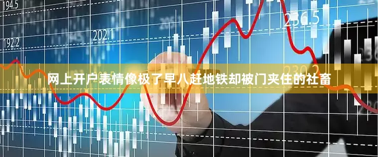 网上开户表情像极了早八赶地铁却被门夹住的社畜